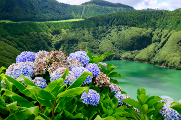 Azores cover image