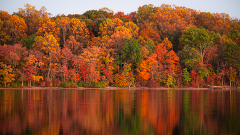Marsh Creek State Park cover image